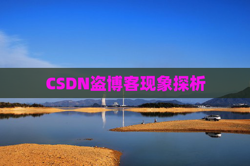 CSDN盗博客现象探析